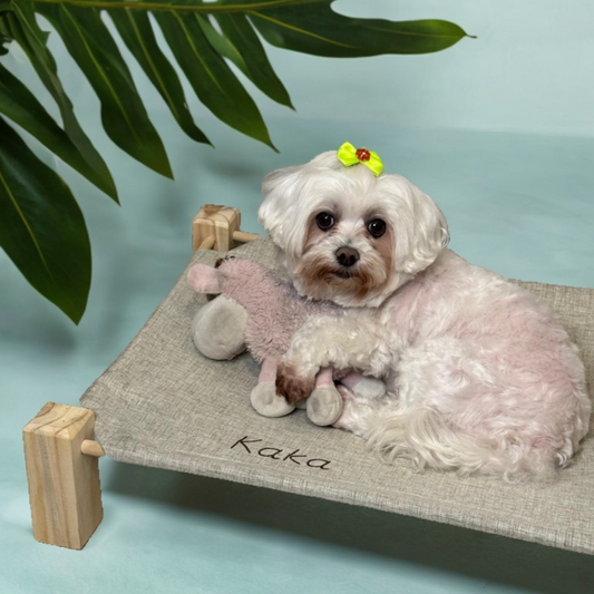 Cama Flutuante de Verano